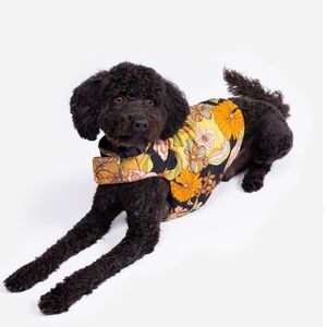 NWT Johnny Was Wonder Years Colorful Floral Dog Nylon Puffer Jacket, Boho, XXS